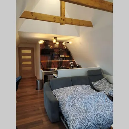 Apartman Atelier Vary V Nove Zrekonstruovanem Dome Karlovy Vary Exterior photo