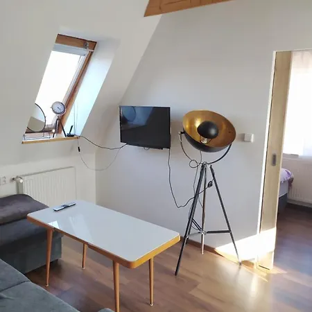 Apartman Atelier Vary V Nove Zrekonstruovanem Dome Karlovy Vary Exterior photo