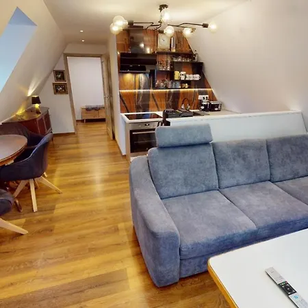 Apartman Atelier Vary V Nove Zrekonstruovanem Dome Karlovy Vary Exterior photo