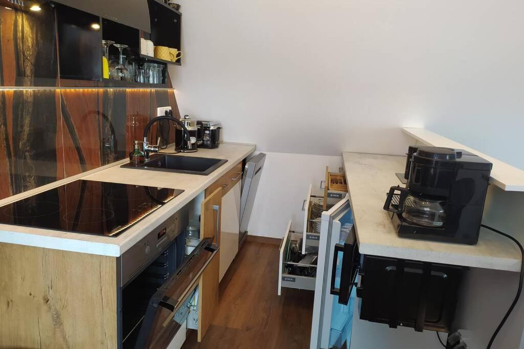 Appartement Atelier Vary V Nove Zrekonstruovanem Dome Karlsbad