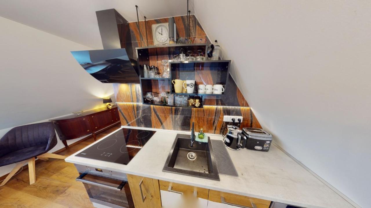 Atelier Vary V Nove Zrekonstruovanem Dome Apartment *